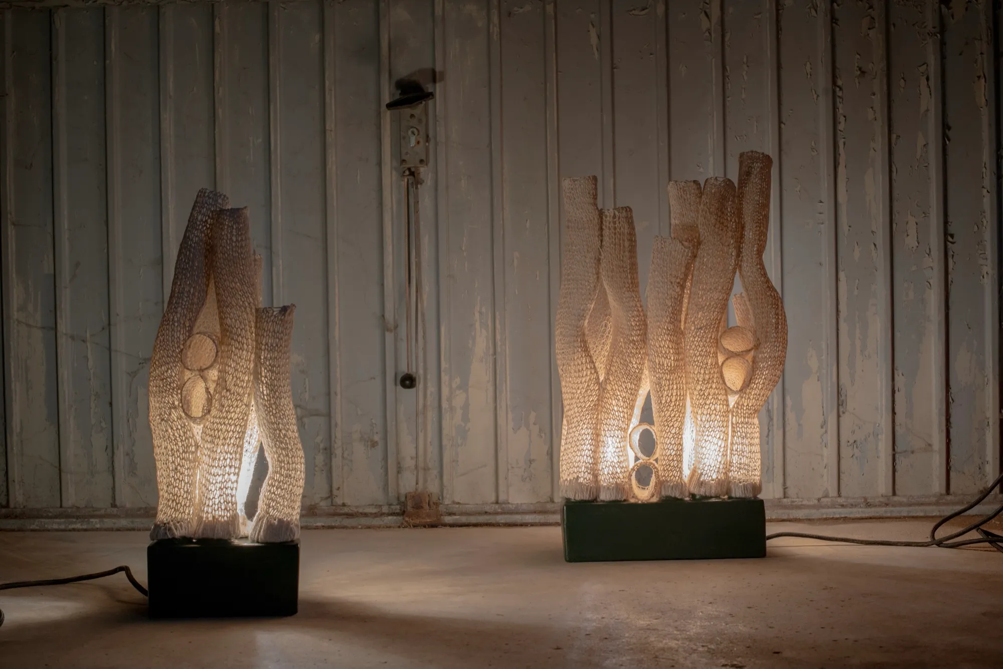 Growing Identity — lighting, 2024