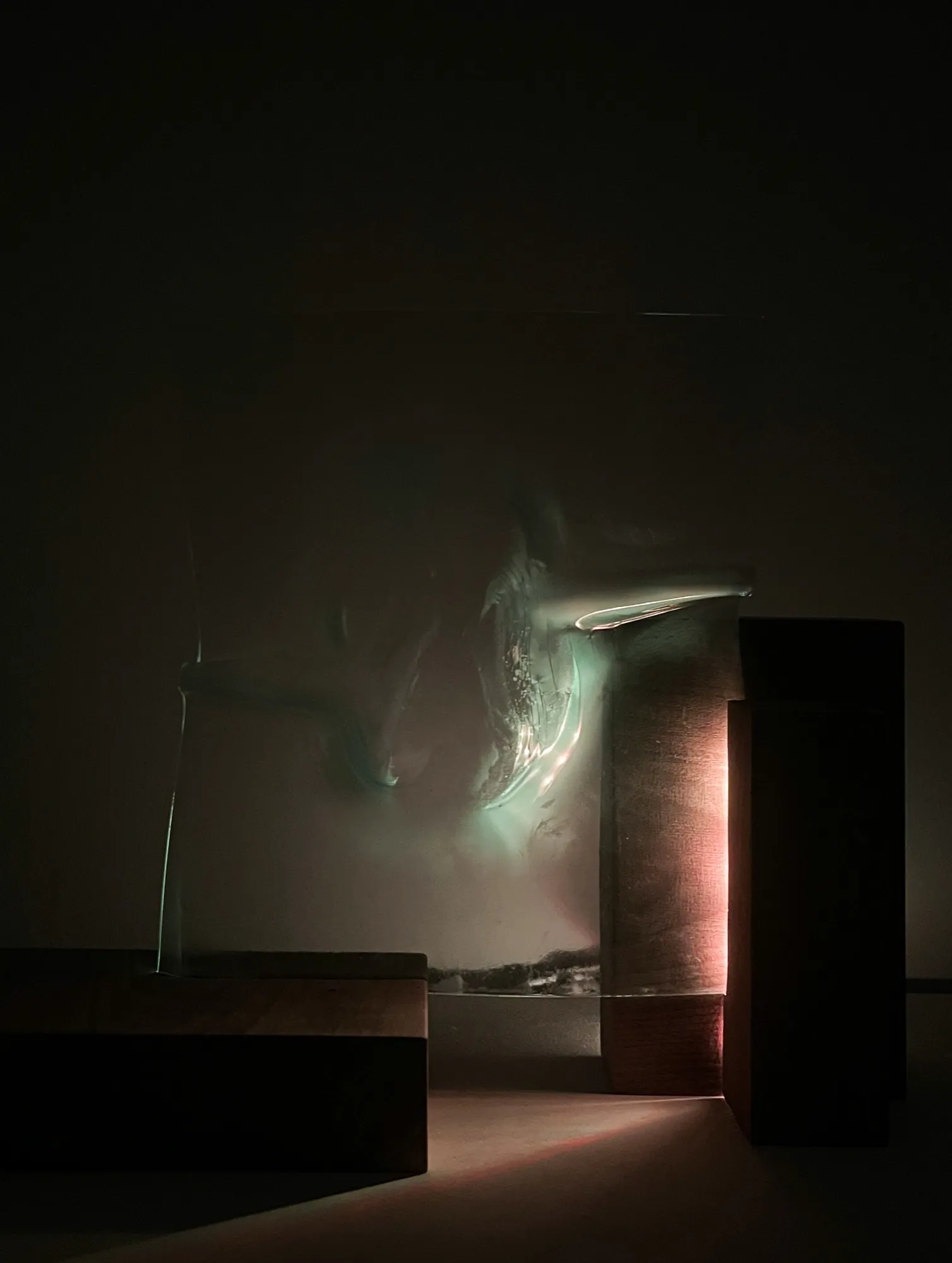 Harmony in Elements, image 6